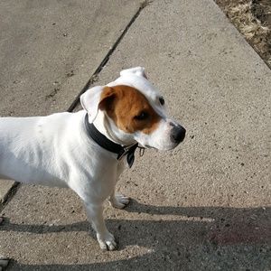 Meet your Posher, Gregory